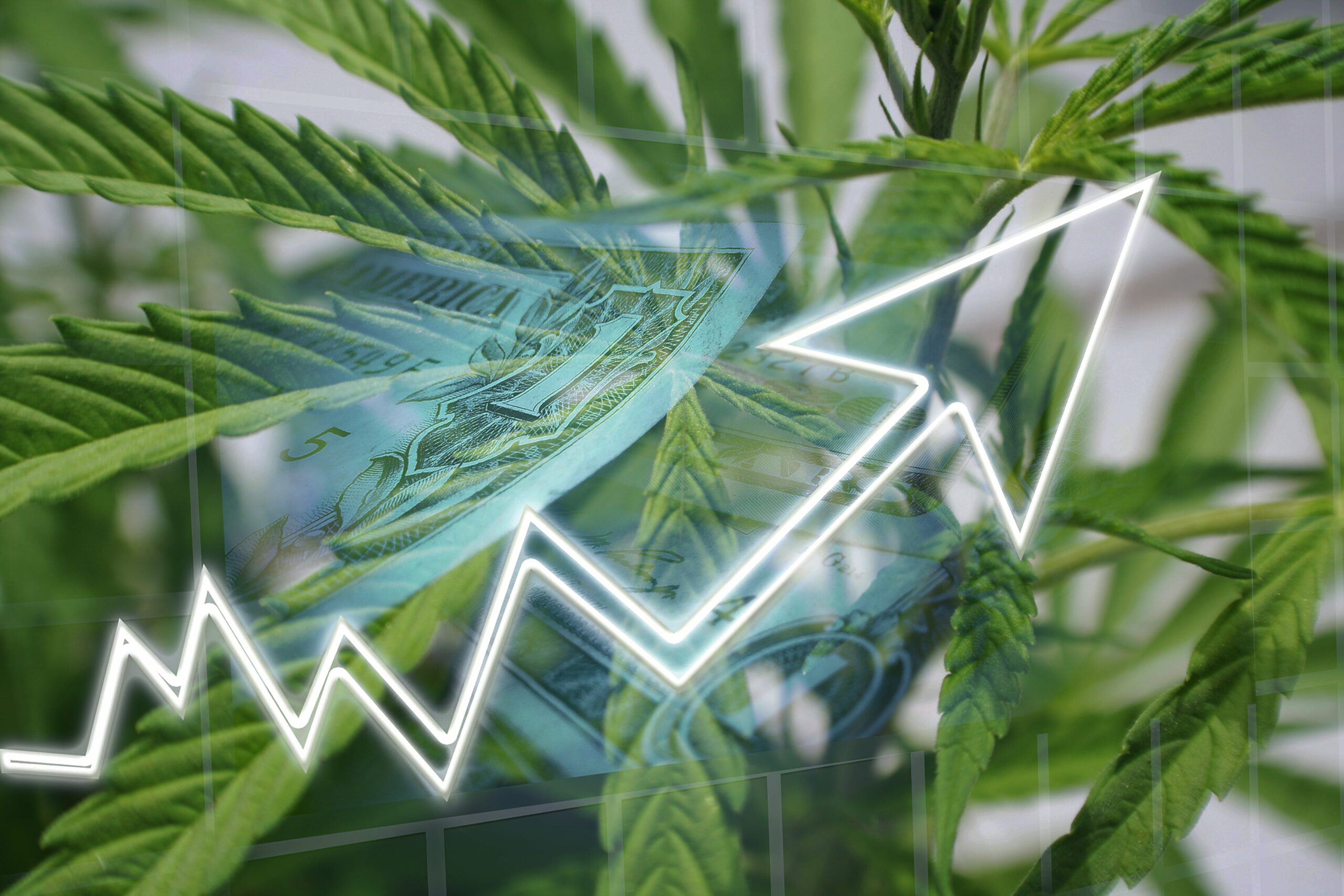 3 Marijuana Stocks Better Than Sundial Growers That Robinhood Investors