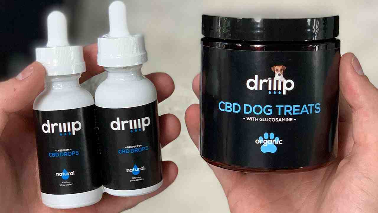 San Marcos CBD Oil Local MMJ News