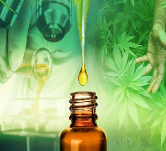 Can a 14 year old use CBD oil?