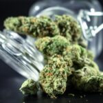 Understanding Local Medical Marijuana Laws and Regulations: Your Guide to Compliance and Access